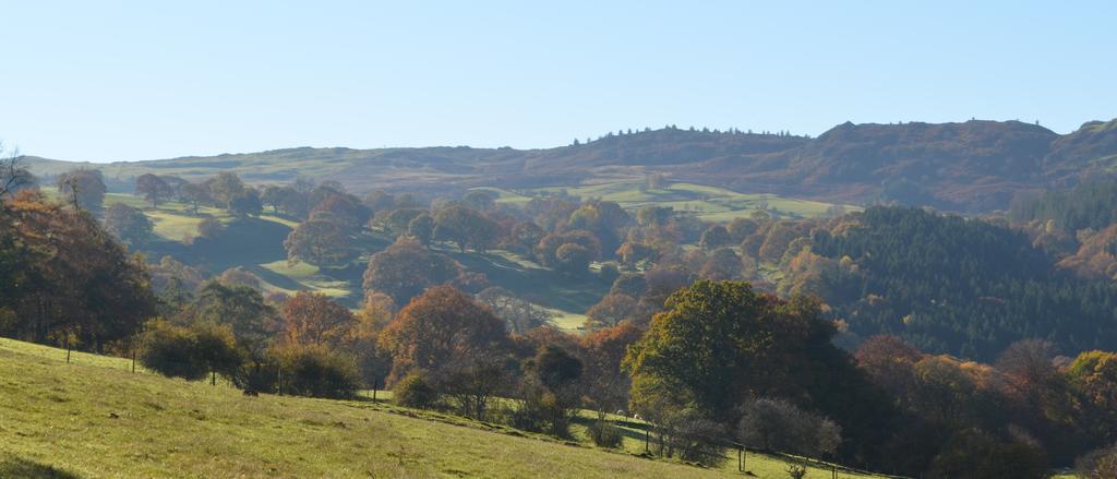 Pale Hall Llandderfel Luaran gambar